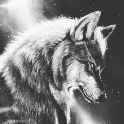 William88061545's profile picture. Just a single guy living the simpler life.