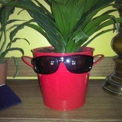 LightShadow444's profile picture. 