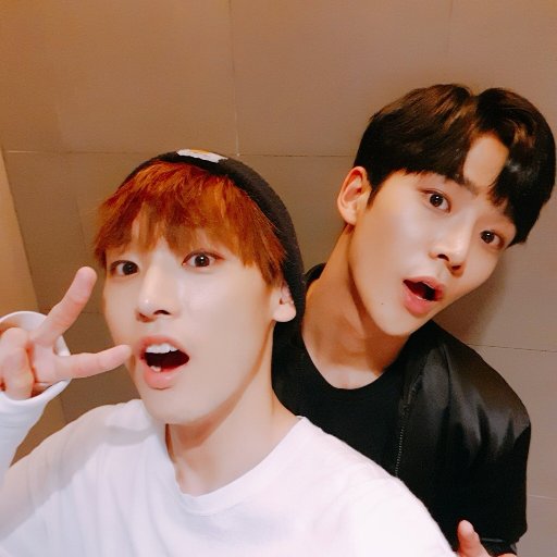 for sf9's rowoon & inseong! 🐭🌰 disclaimer: i don't own anything other than my love for them.
