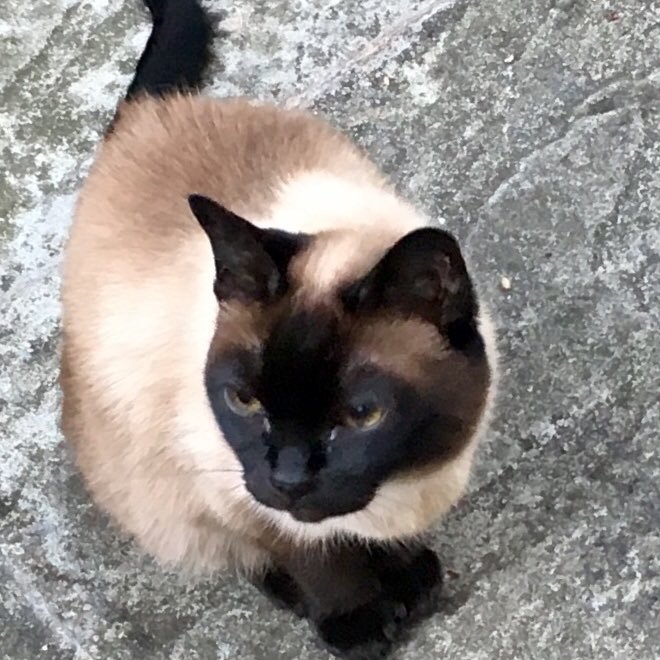 jackiewainwrig3's profile picture. Happily retired. Lived in London, moved to Spain. now back in home town Volunteer with Turning Tides