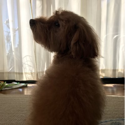 LkBgKJ7WBWcXjfg's profile picture. トマト大好き‼️