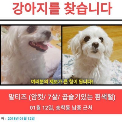 혹시 보신분들은 연락부탁드립니다..