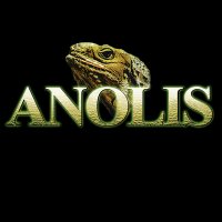 Anolis Entertainment GmbH & Co. KG(@anolis_film) 's Twitter Profile Photo