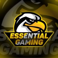 Ayudas Essential Gaming (@ayudasesse) 's Twitter Profile