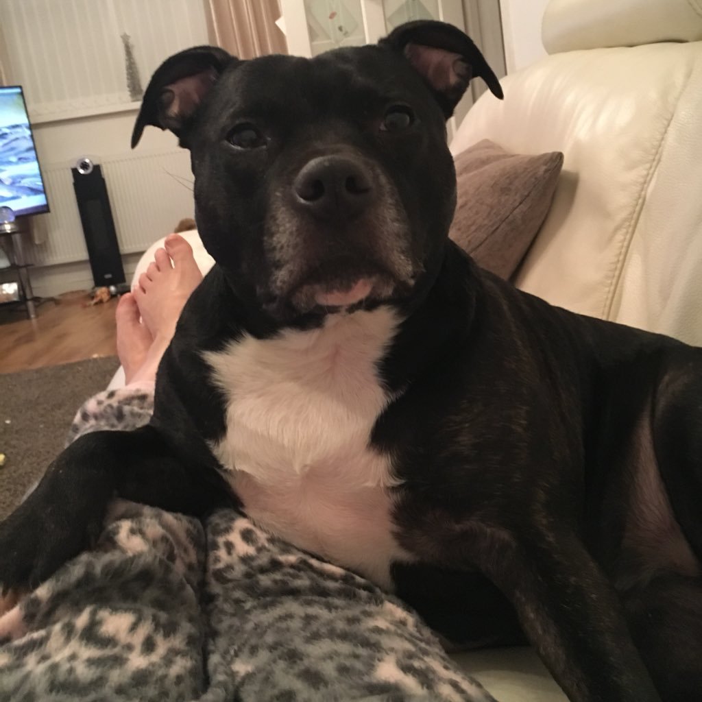 Love my Staffie, (and my kiddywinks💕) working with Special Needs, Gym, Walking, Eating Out, R and B , Reggae, Stop Yulin !!!