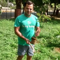 Clean & Green sector 22 Gurugram haryana India(@rakeshmalik0011) 's Twitter Profile Photo
