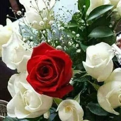 dored_sy's profile picture. 