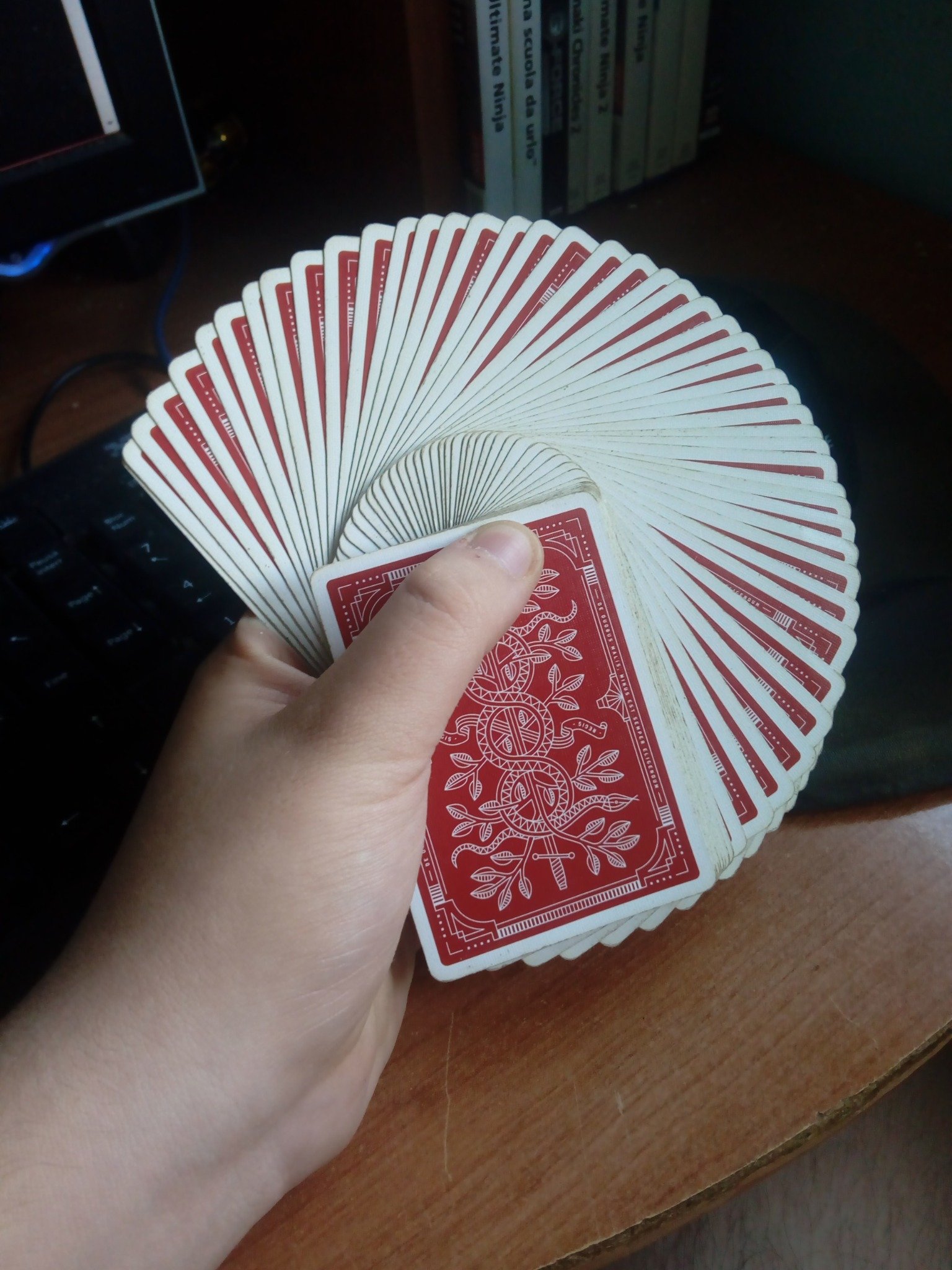 EmmanueleGamer0's profile picture. 