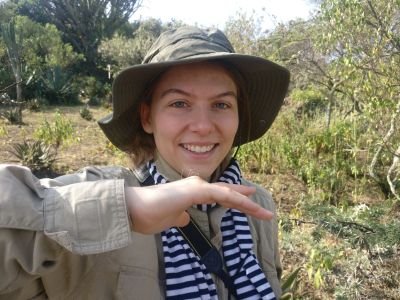 PhD student : Ontogenesis and functions of vocal sharing in a songbird, the black redstart (Phoenicurus ochruros)