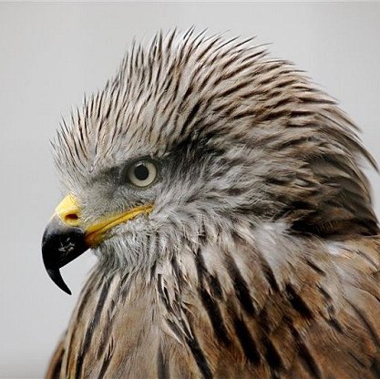 BabbuJawandha's profile picture. 