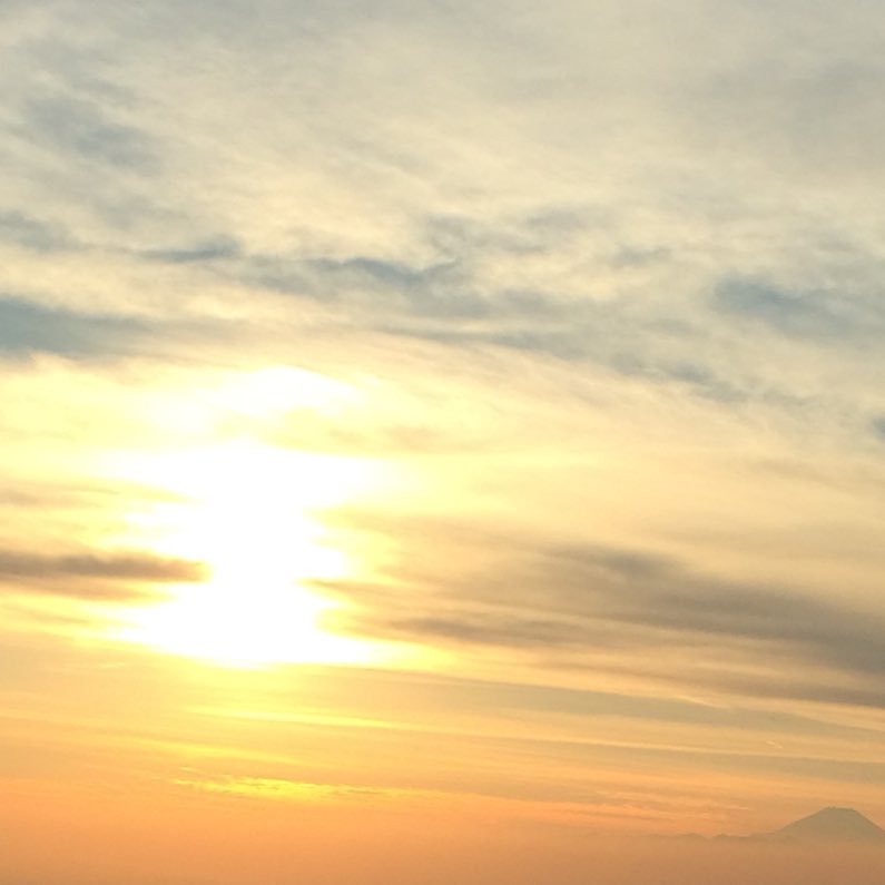 Yuri_shore65's profile picture. 無言フォローすみません。好きなものや美しく素敵だと感じたものに憧れながらひっそり細々と生きたい。フォロー承認滅多にしません。とっくの昔に成人済。タロットや星が好き。時々備忘録として。