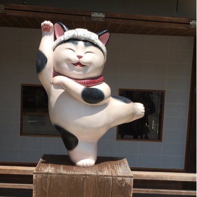 Picocat3's profile picture. 猫好き/ゴルフ好き/根尾くん推し❤️ ⚾️パリーグはオリックス応援 エロ垢即ブロックします。