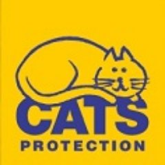 We are the Camberley & District branch of Cats Protection, the UK's leading feline welfare charity. Insta: https://t.co/SL0YlTx0ZE FB: https://t.co/SdjSl6H7ll