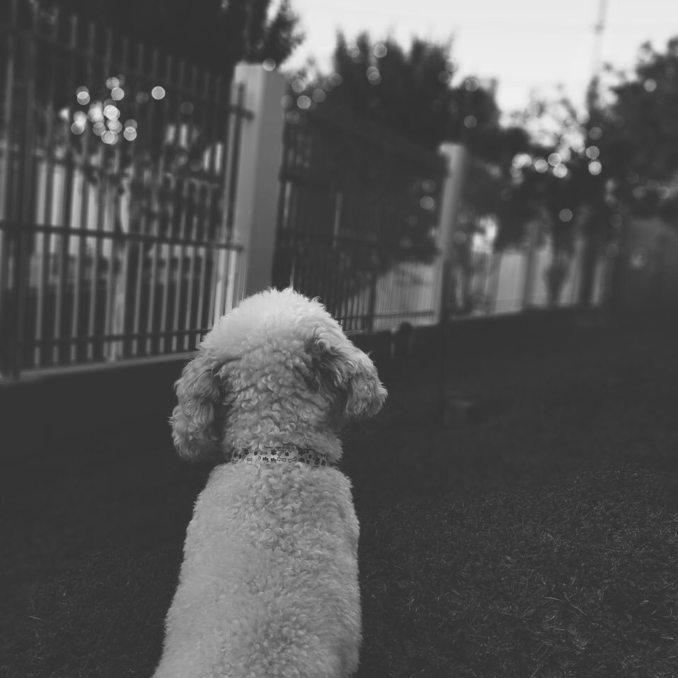 xxximyourx's profile picture. 