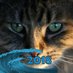 Carole Anne 🇺🇦🕊️🟧 at followback limit (@gfcats) Twitter profile photo Carole Anne 🇺🇦🕊️🟧 at followback limit (@gfcats) Twitter profile photo