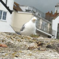 Kris Martin (@kristianjmartin) 's Twitter Profile