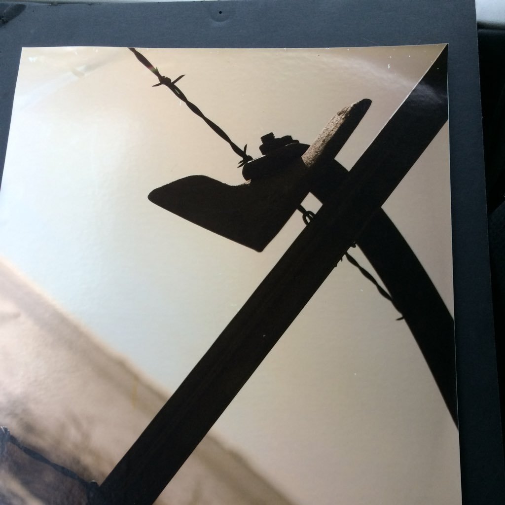 NOBLECREEK66's profile picture. I farm and raise cattle, have a beautiful wife and three beautiful children.