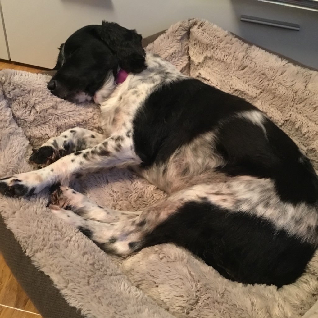 sezzyj's profile picture. Married 33 yrs work in Solicitors. son aged 28 self employed electrician. loving life. enjoy what you can, when you can. do what you want. 😍🥂✈️