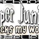 Dianne Park - @SuperJuniorRock - Twitter