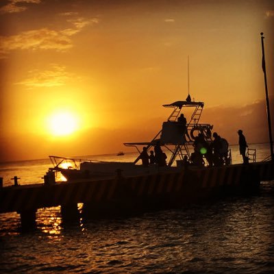 AirSeaFit's profile picture. Be ready for your next air or sea adventure. Travel, boating, Ocean conservation, Cruise, healthy lifestyle, marine animals. & community @travelfit 🛥⛵️🚤🚁✈️