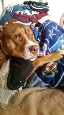 kevindelarbre's profile picture. 