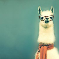 Giusseppi B. (@mutt_oww) 's Twitter Profile