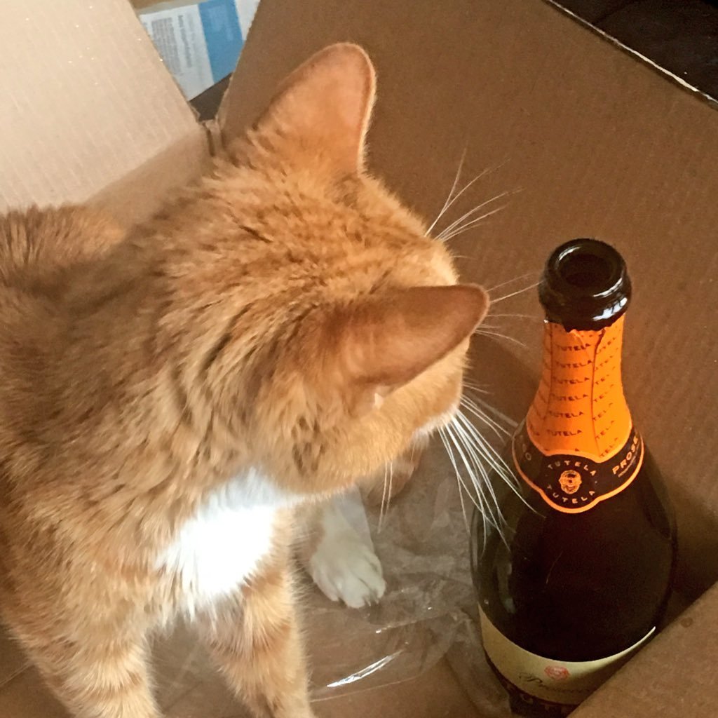 kimjournalist's profile picture. @WallStreetBreakfast @SeekingAlpha