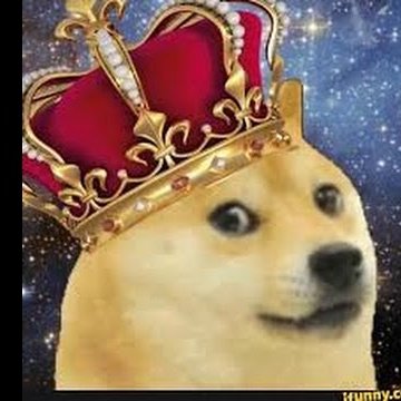 Doge King Rodogeking Twitter
