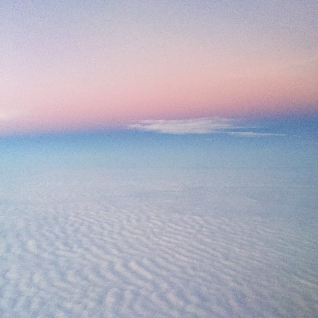 Amandareichert7's profile picture. 💡