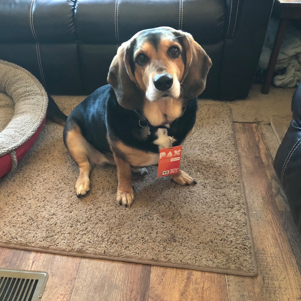 OldGensDoggie's profile picture. Hi, I'm Sammi. Oldgen is my Dad, he sits with headphones on and talks to his computer for hours ........he's weird.