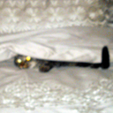 Wanda Born - @wanderingwanda - Twitter