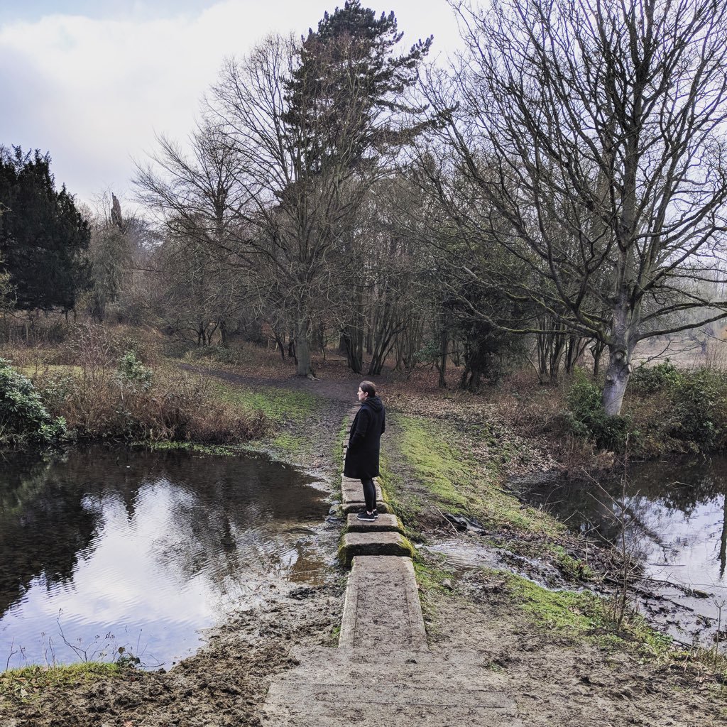 bethfalky's profile picture. 