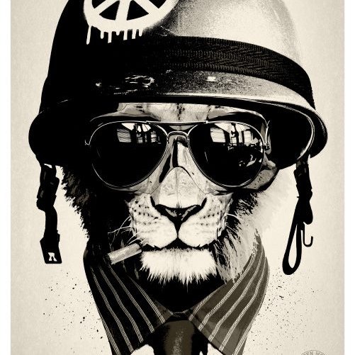 Aflexcorp's profile picture. Love sur vous.