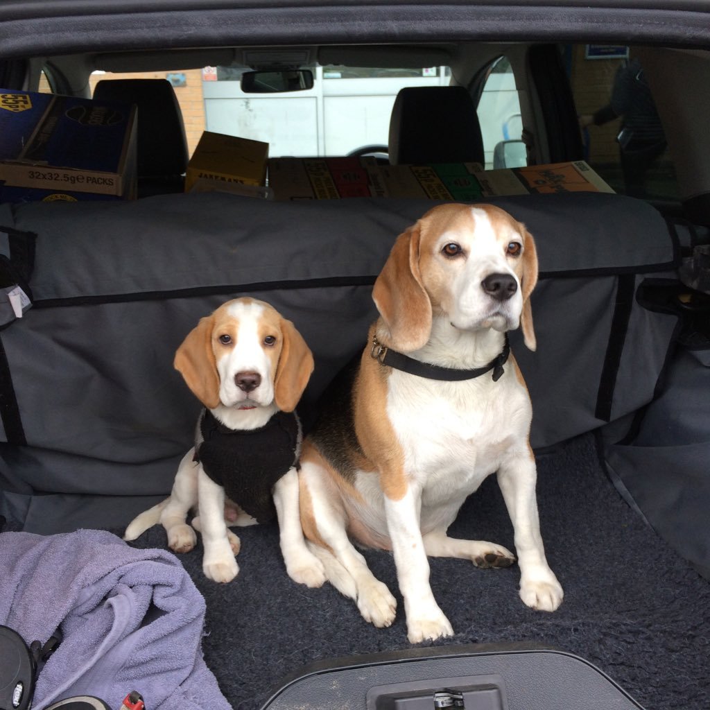 tony_forshaw's profile picture. 