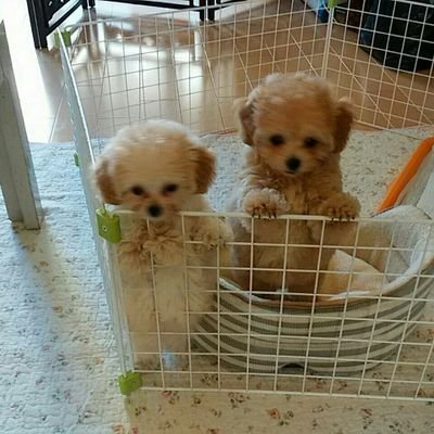 働く2人娘のママ。吹奏楽、サックス、サントラ、大好き!なにわ男子🌟大橋和也さんも応援📣してます。タイプロ✨本多大夢くんの応援もしてます✨