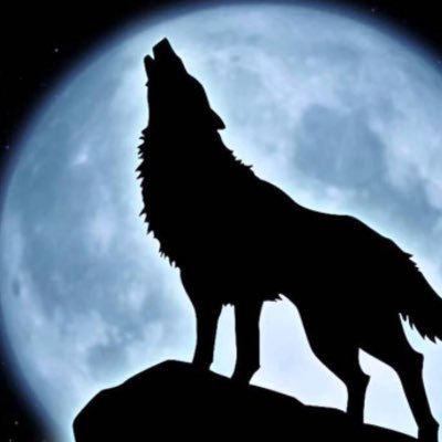 blkwolfofcrypto's profile picture. certified bag chaser!!💰 buy the rumor sell the news!!! I need more!!