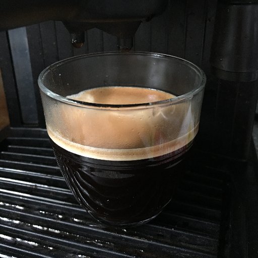 reidthepatriot's profile picture. #RidenWithBiden