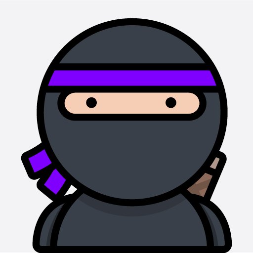 Css Ninja