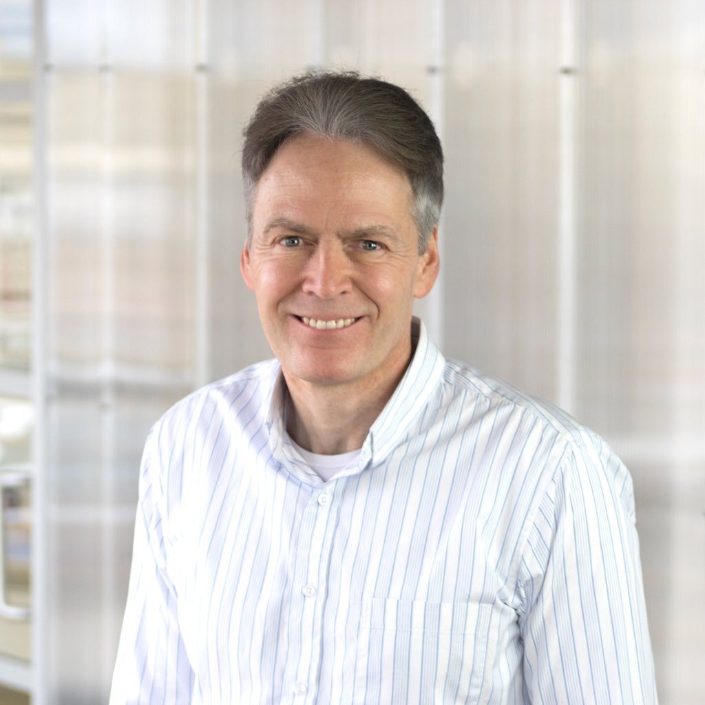 cgsoenj1's profile picture. 