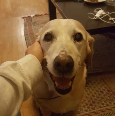 mikeltxu007's profile picture. Amante, que no conocedor, del baloncesto. Hago alguna cosita para Colgados del Aro. Todo mejor con una 😊