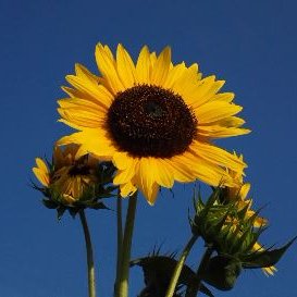 denenlifemind's profile picture. ブログ更新告知メイン。たまにサッカー実況。DM✖
旅行垢　https://t.co/YnEZELbATh