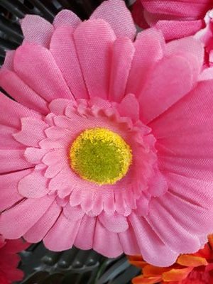 DVUvi3oEORysBuX's profile picture. 