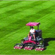 BsballGrounds's profile picture. Best high school and college baseball grounds. Show off your mowing patterns. Tag us in your field tweets.