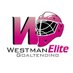 Westman Elite Goaltending (@WEGoaltending) Twitter profile photo