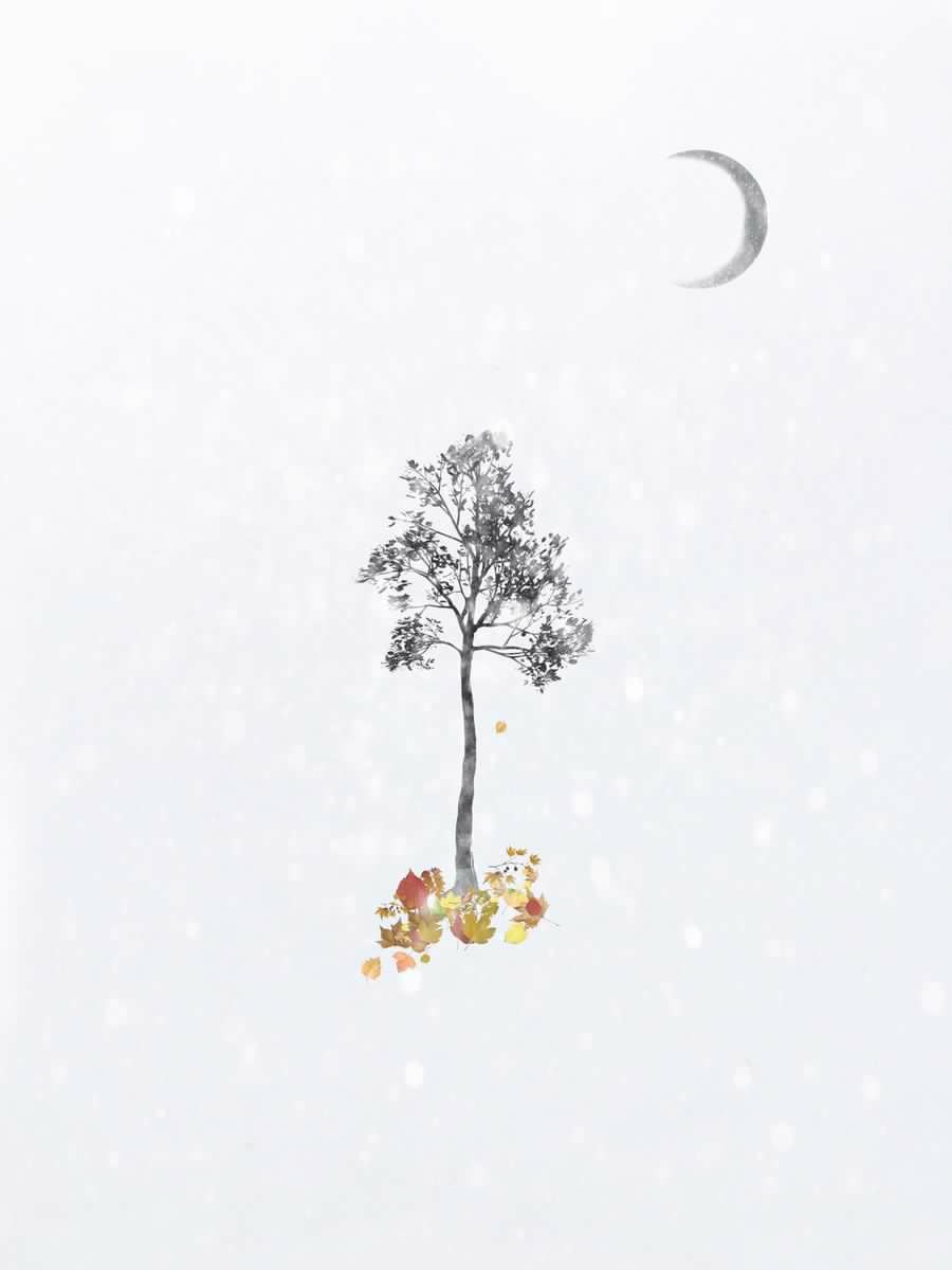 xckhws's profile picture. 