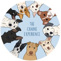 TheCanineExperience(@thecanineexp) 's Twitter Profile Photo