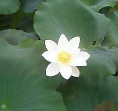 tud_899's profile picture. 