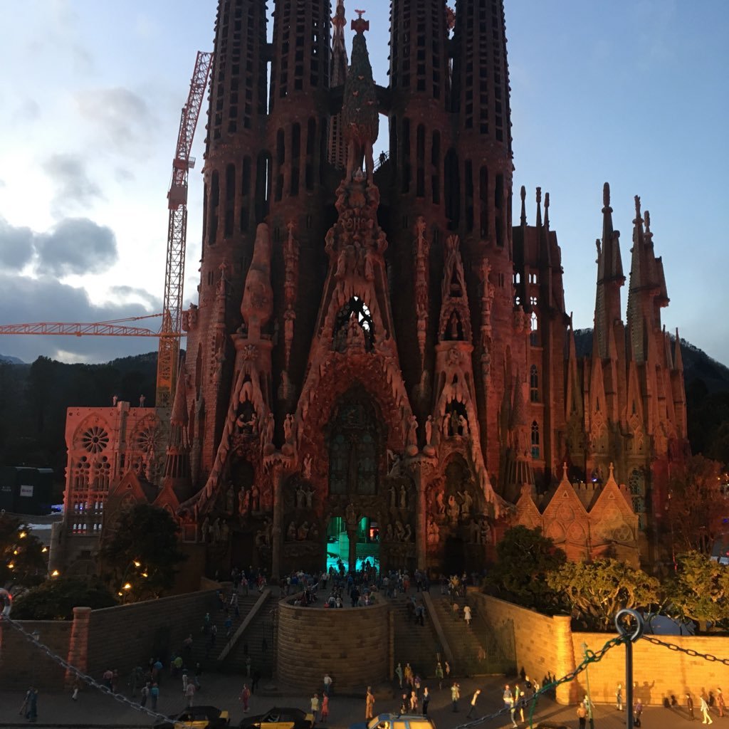 Japanimport_ew's profile picture. 億り人になりたい(๑･̑◡･̑๑)