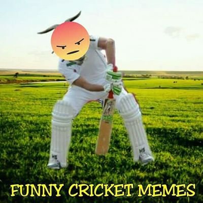 Funny Cricket Memes (@FunnyCrc8Memes) / Twitter