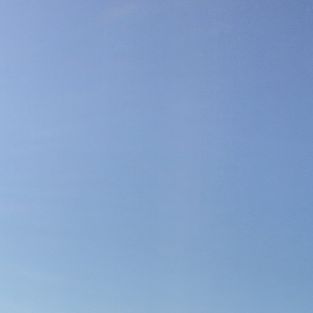 IIO3SRR's profile picture. 移行しました！このアカウントはブロ解してもらって大丈夫です！